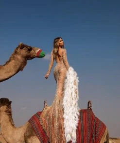 Shopalbina2022 DESERTE Long Bronze Dress