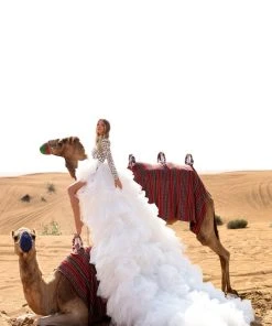 Shopalbina2022 Mirror Detailed Tulle Dress DESERTE