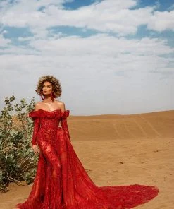 Shopalbina2022 Red Embellished Gown DESERTE