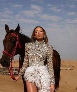 Shopalbina2022 DESERTE Mirror Detailed Feathered Dress