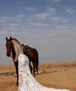 Shopalbina2022 DESERTE Mirror Detailed Feathered Dress