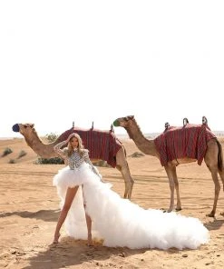 Shopalbina2022 Mirror Detailed Tulle Dress DESERTE