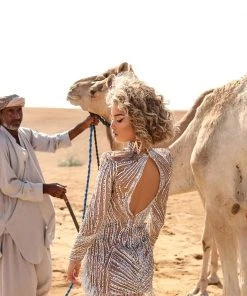 Shopalbina2022 DESERTE Mini Silver Dress 7 Shopalbina2022 DESERTE Mini Silver Dress