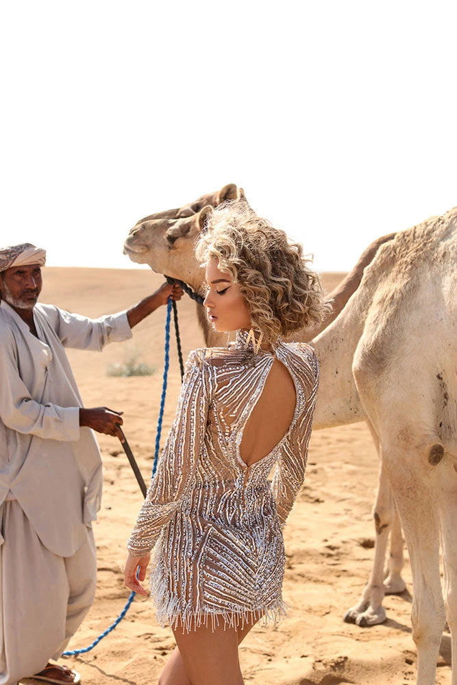 Shopalbina2022 DESERTE Mini Silver Dress 5 Shopalbina2022 DESERTE Mini Silver Dress