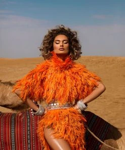 Shopalbina2022 DESERTE Long Orange Feathered Dress