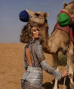 Shopalbina2022 DESERTE Prim Silver Dress