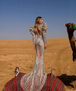 Shopalbina2022 Long Silver Dress DESERTE