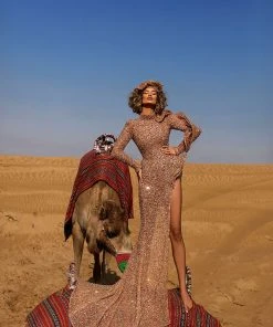 Shopalbina2022 Long Deep Bronze Dress