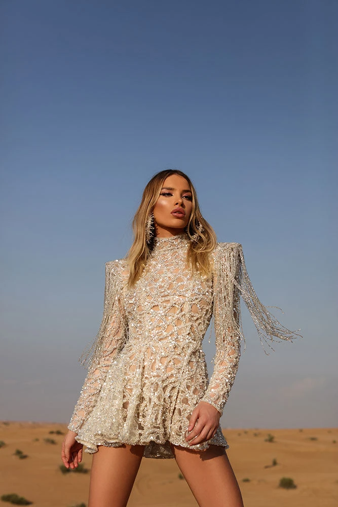 Shopalbina2022 Short Silver Dress DESERTE 3 Shopalbina2022 Short Silver Dress DESERTE